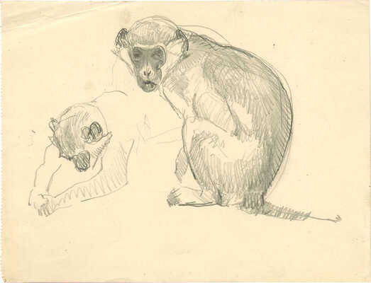 Никольский Георгий Евлампиевич. Лот из двух листов с набросками животных